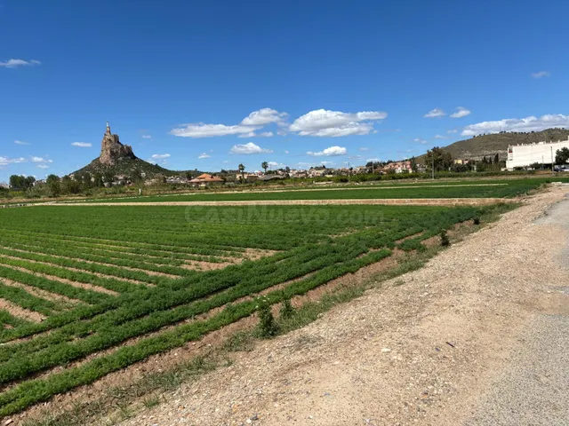 PARCELA URBANA EN VRDA DE LA CUEVA MONTEAGUDO — 5