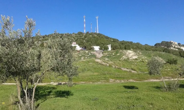SUELO URBANIZABLE EN VENTA EN ESPERA (CÁDIZ) — 3