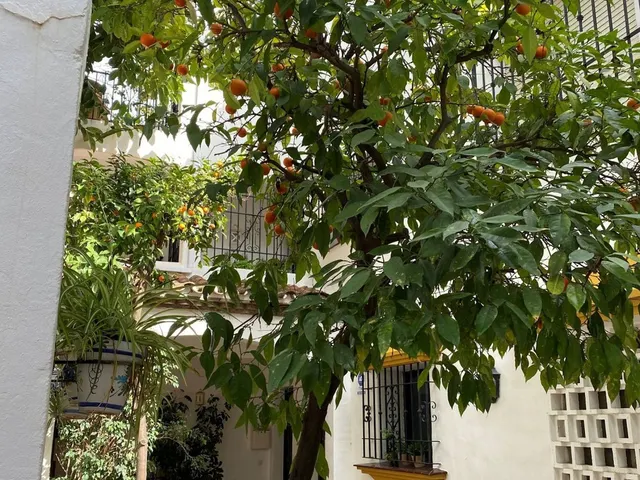 Apartamento 2 habitaciones 93m² en venta - Puerto de la Torre — 19