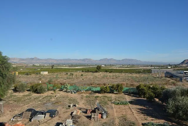 Magnífico chalet en Orihuela zona Urb. Montepinar, 344 m2. y parcela de 2737 m2. — 35