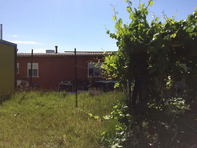 CASA FIN DE SEMANA CON TERRENO — 2