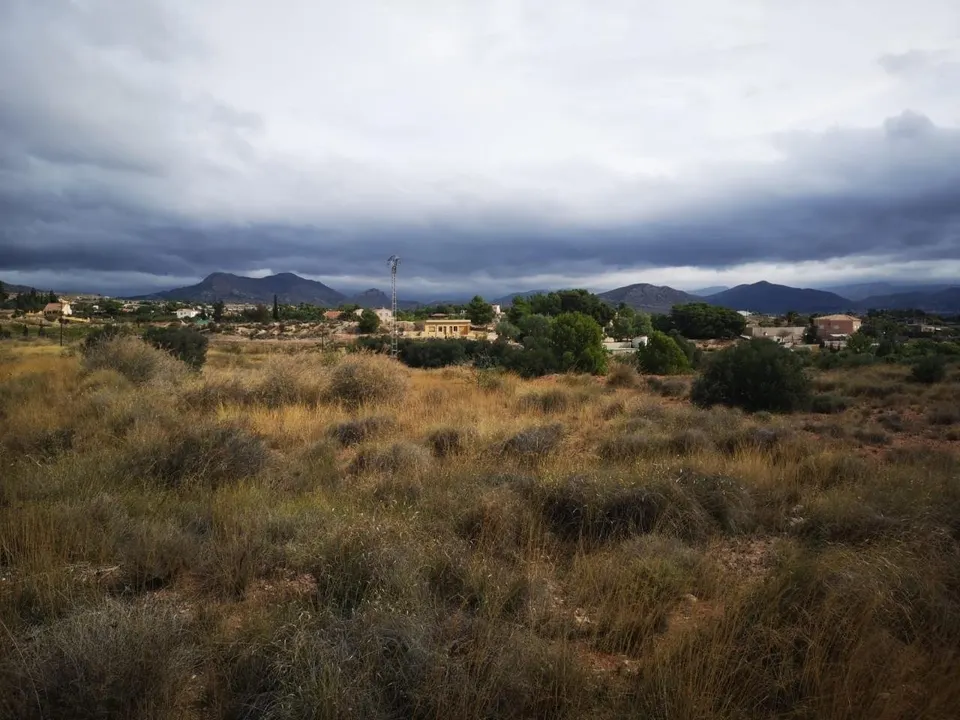 Terreno no urbanizable