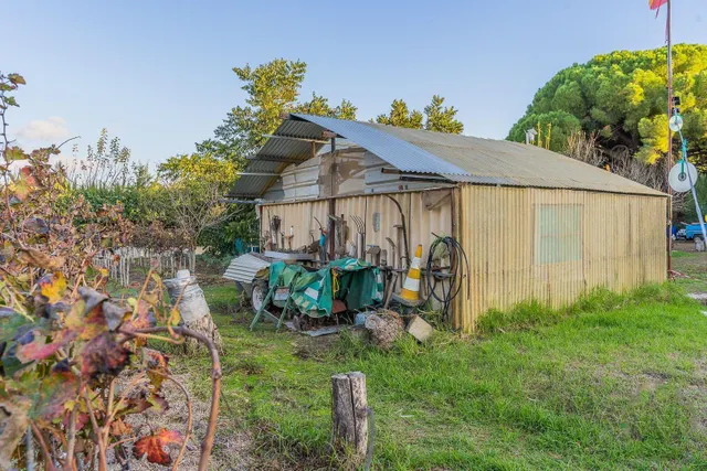 Finca Rural — 17