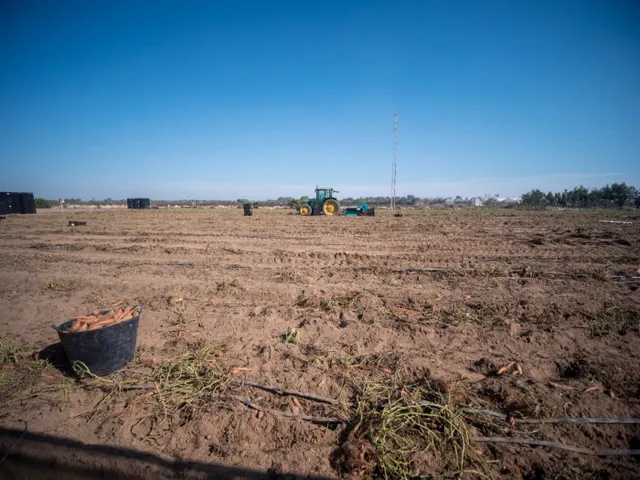 FINCA RÚSTICA CON ARBOLES FRUTALES Y CUADRA DE CABALLOS — 7