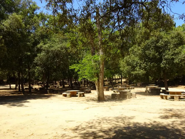 Finca rústica de 9 hectáreas en Arenys de Munt — 47