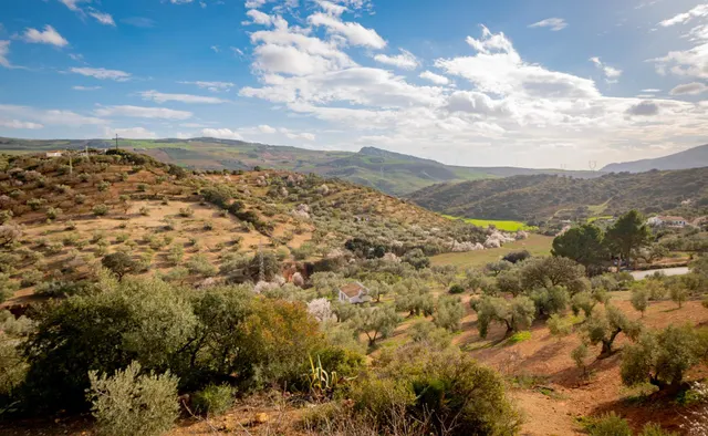 VENTA DE FINCA RUSTICA EN LA ZONA DE LA SIERRA DEL TORCAL — 9