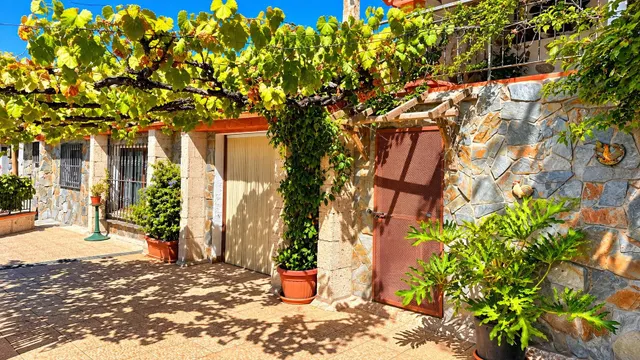 Finca exclusiva en Vilaflor · 2 viviendas, viñedo, bodega y piscina — 38