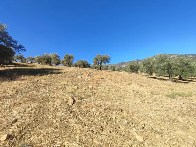 Parcela en venta - South of spain — 18