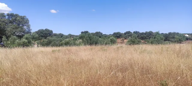 ¡Terreno de 2800 m2 en zona ermita! - foto 5