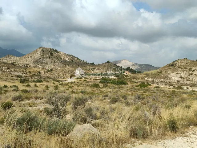 SE VENDE PARCELA GRANDE EN ASPE ZONA DE BORISA — 4