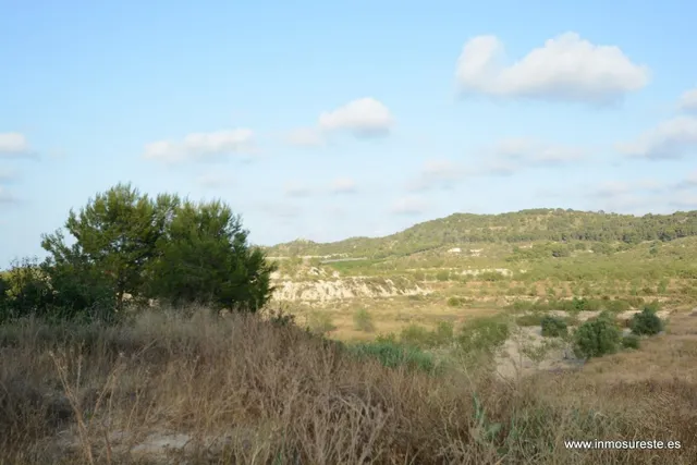 Terreno rústico de secano en la pedanía de Torremendo, Orihu