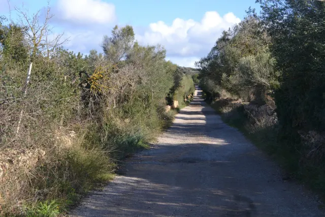 Finca rústica Manacor — 13
