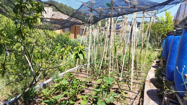 Terreno en venta Catellbell i el Vilar — 13