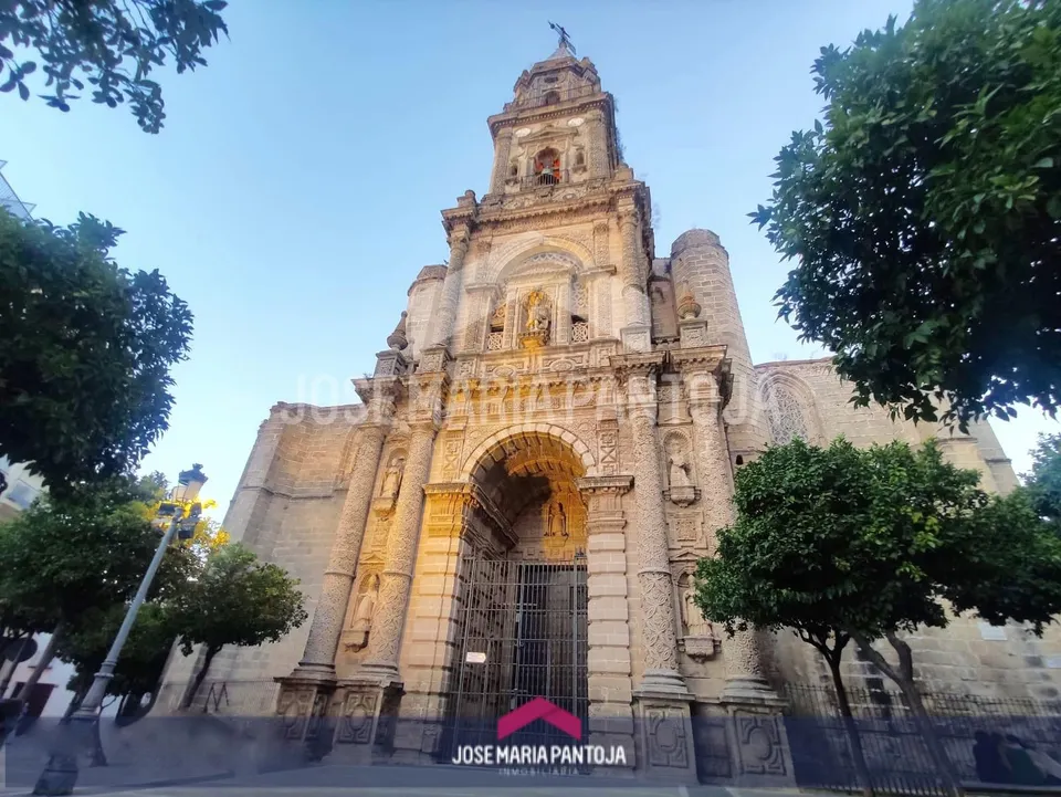 PARCELA EN BARRIO SAN MIGUEL