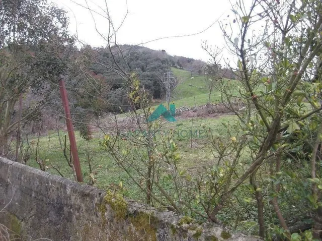 Se vende casa de campo en Ramales de la Victoria - foto 2