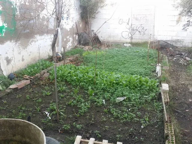 COCHERA Y PATIO A LA VENTA — 4