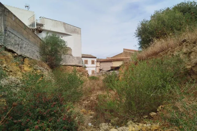 Solar urbano en Maria de la Salut — 13