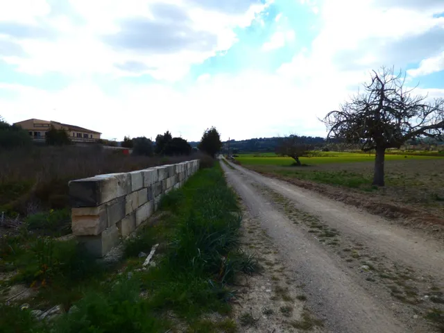 SANT JOAN. Espaciosa finca rústica para finalizar con bonitas vistas. — 3