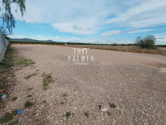 PARCELA EN ALQUILER - foto 5