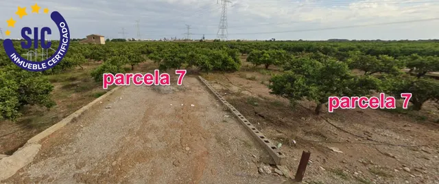 FINCAS RÚSTICA 24 HANEGADAS DE CLEMENTINA EN PRODUCCIÓN CON MASIA Y POZO MUY CERCA DE LA CIUDAD — 13