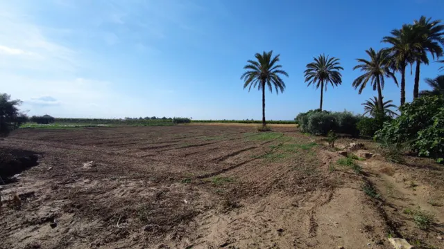 SE VENDE CASA DE CAMPO CON 42.000 M2 DE PARCELA. — 16