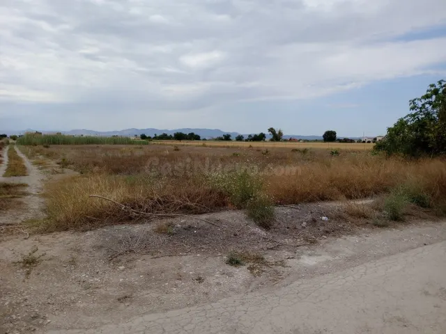 Parcela 11900m² en venta - Costa blanca sur - foto 2