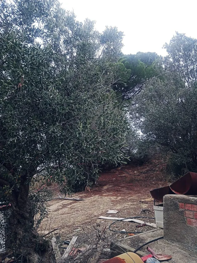 terreno Agrario — 15