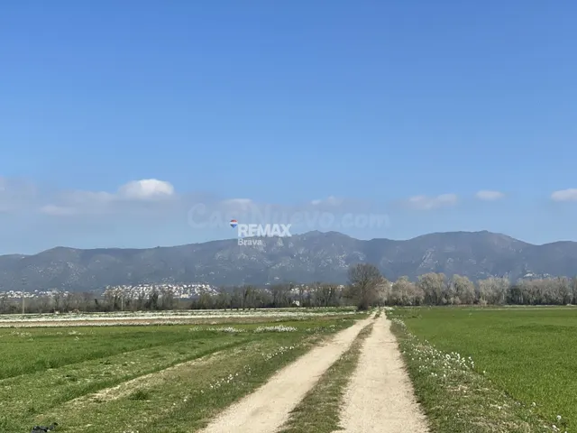 Castelló d'Empúries | Finca rústica no edificable en un ento - foto 3