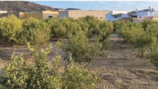 Parcela en venta - Alora pueblo — 10