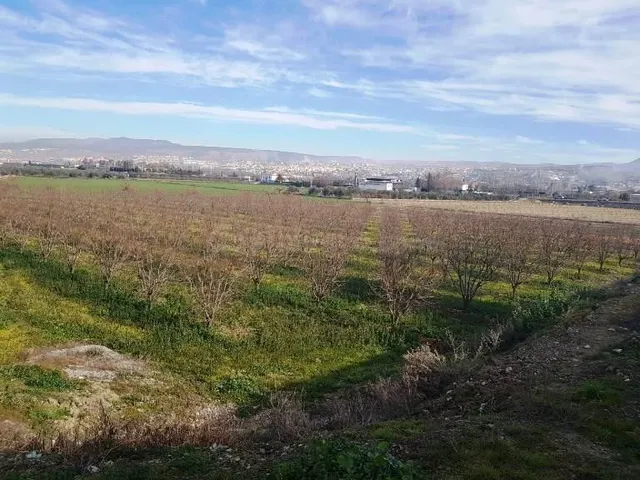 Terreno rustico a la venta en La Zubia (Granada) — 3