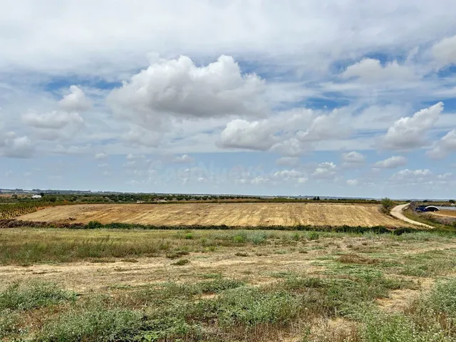 Terreno rural en venta - Almonte - foto 5