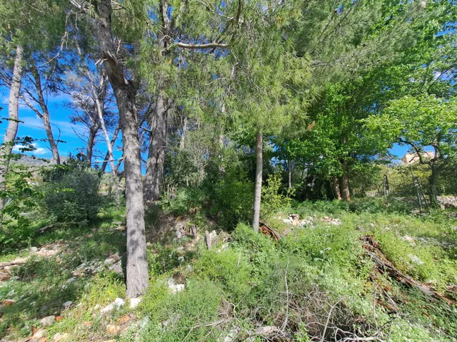 CASA RUSTICA CON TERRENO — 7