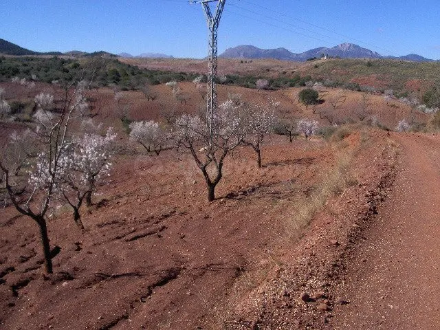 FINCA RÚSTICA EN ORTILLO - foto 5