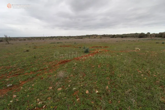 Terrenos Rústicos Edificable en Ses Salines