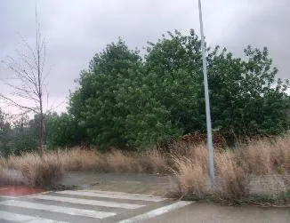 SOLAR URBANO EN EL VENDRELL — 11