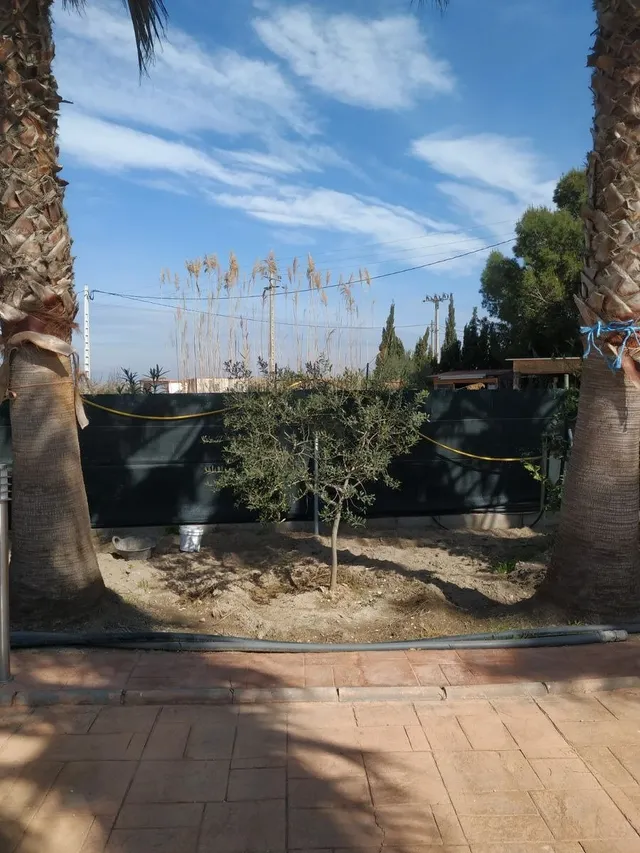 Espectacular casa de piedra con parcela de 10.000m2,  no deje pasar esta oportunidad. — 6