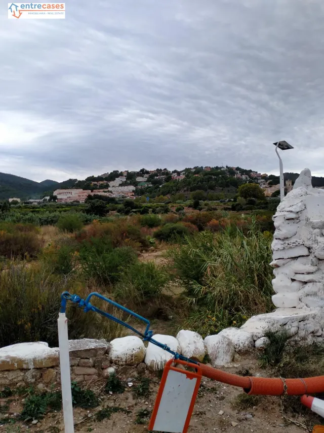 CONJUNTO DE PARCELAS EN PETRÉS — 17