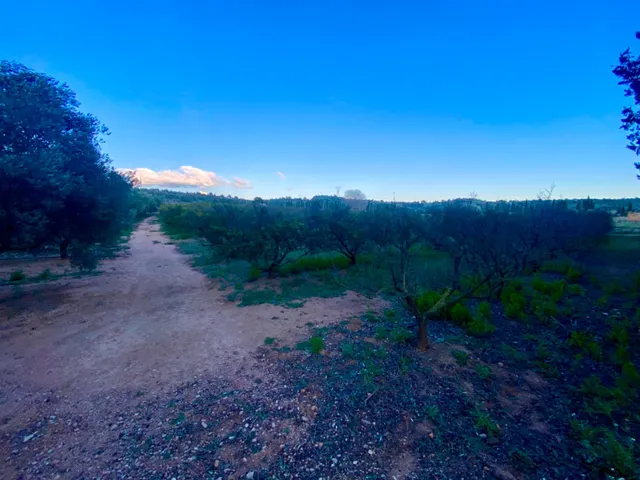Encantador terreno con agua y luz de 1,2 ha — 14