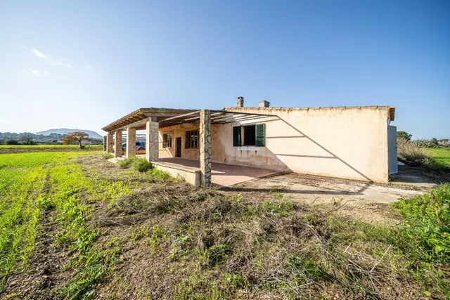 FINCA EN MONTUIRI CON VISTAS DESPEJADAS Y TERRENO LLANO CERCA DE LA CARRETERA PRINCIPAL — 29