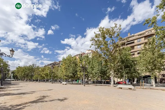 Pisazo en paseo del salón - Granada — 46
