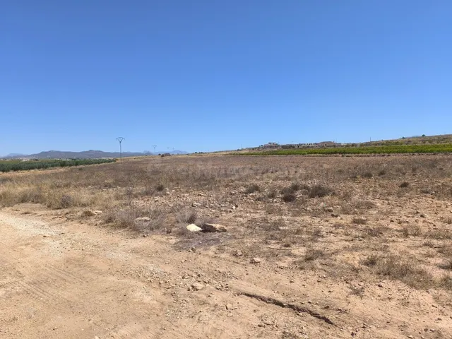 Venta de terreno en Pinoso - Comunidad Valenciana - foto 3