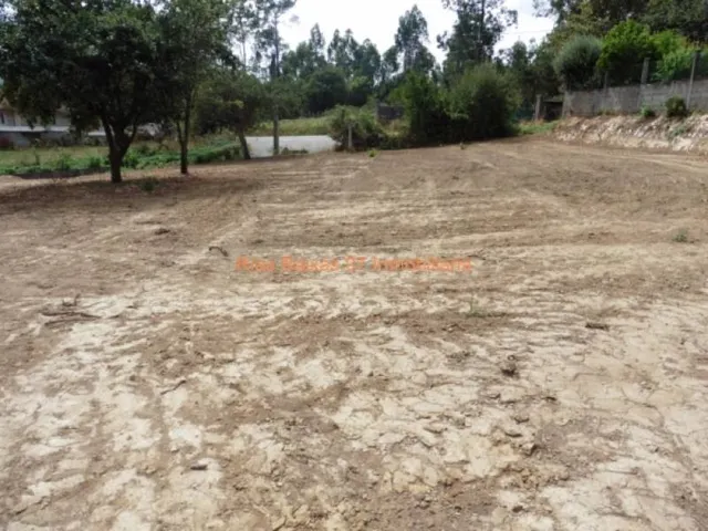 REF 2364 SOLAR LLANO Y SOLEADO 1234 m2 MOS - foto 2