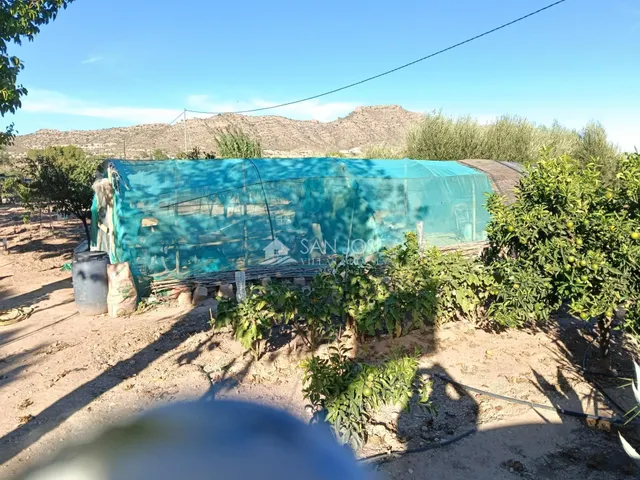 SE VENDE CHALET EN BUEN ESTADO EN ASPE ZONA CARRETERA DE LA ROMANA — 43