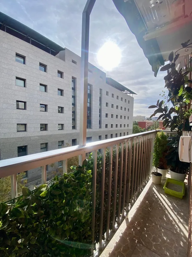 PISO EXTERIOR JUNTO A LOS JARDINES DEL TURIA — 6