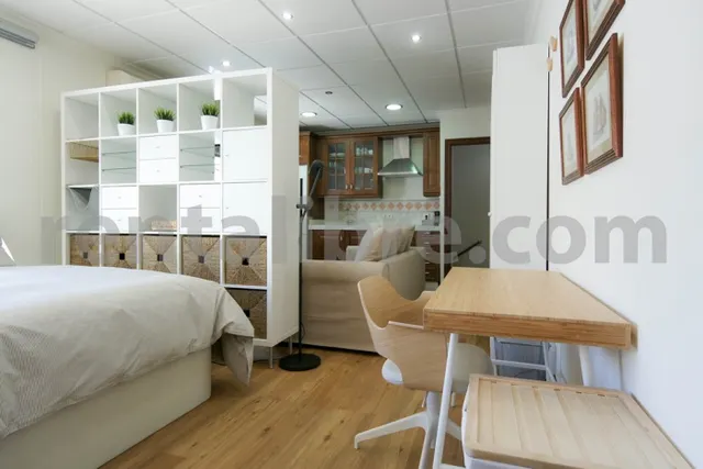 Loft 1 habitación 44m² en alquiler - Centro — 14