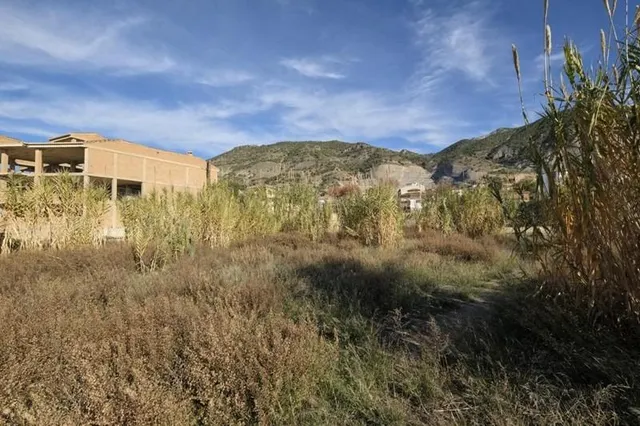 Gran parcela en Padul — 16