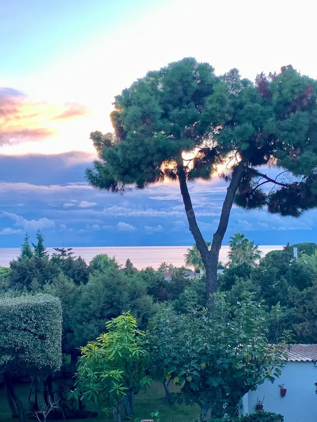 Parcela 1814m² en venta - Marbella — 5