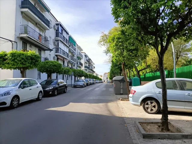 Venta piso en Ecija - foto 4