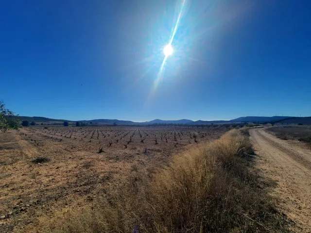 FINCA RÚSTICA EN ALMANSA — 6