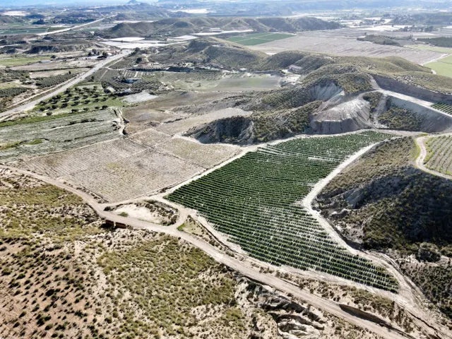 Parcela cultivada en producción — 10